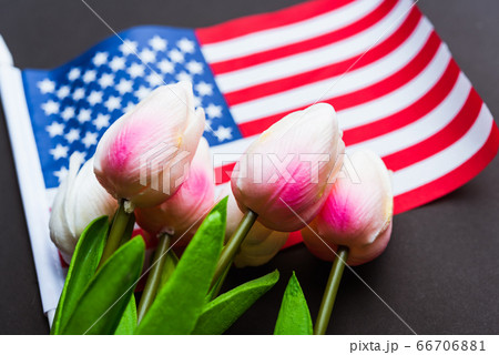 Happy Memorial Day, American flag and a Tulip 66706881