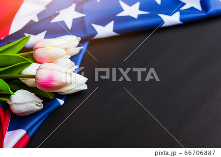 Happy Memorial Day, American flag and a Tulip 66706887