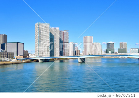 豊洲、晴海の風景 豊洲、晴海の風景 66707511