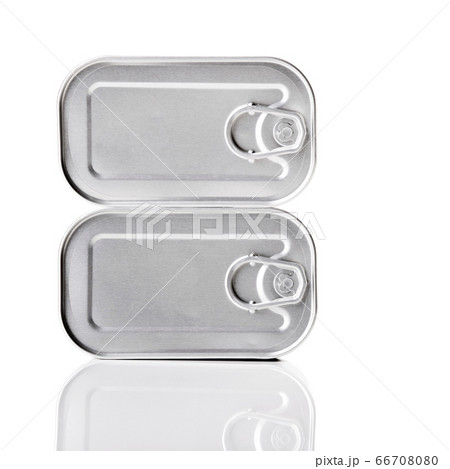 Sardine tin Sardine tin 66708080