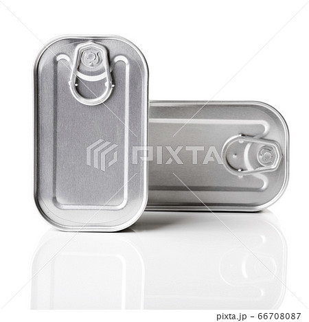 Sardine tin 66708087