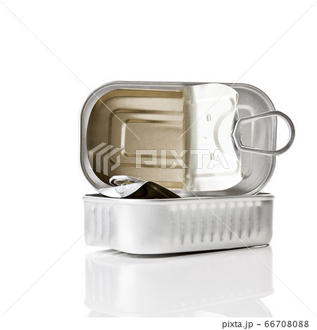 Sardine tin 66708088