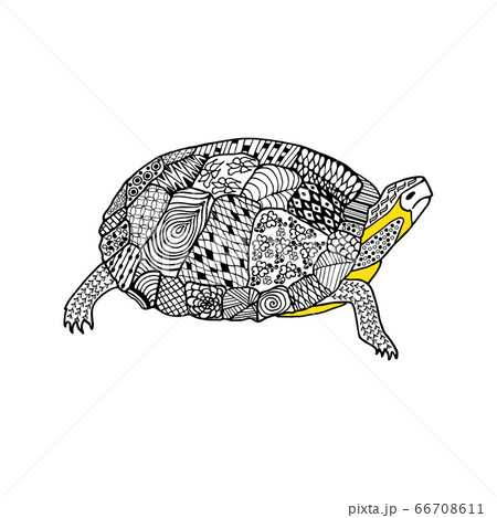 Turtle Hand Drawn Doodle Black And Whiteのイラスト素材