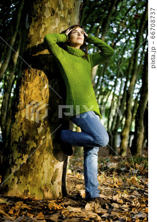 Autumn Beauty 66708737