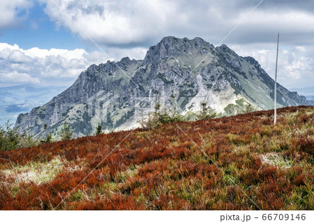 Big Rozsutec, Little Fatra, Slovakia, springtime 66709146