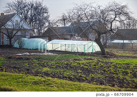 large greenhouse near the house in the village. Concept, farming, eco products large greenhouse near the house in the village. Concept, farming, eco products 66709904