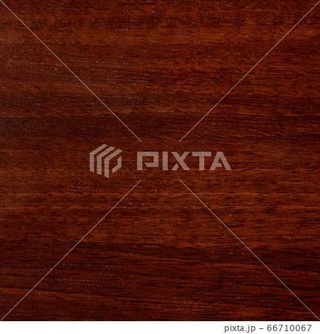 Varnished red tree with original texture. 66710067