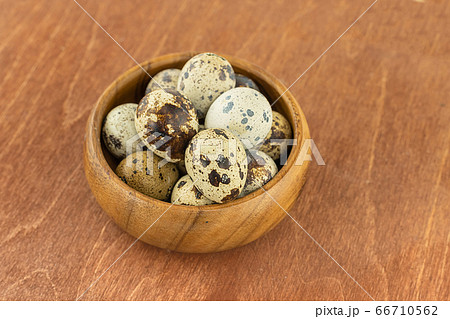 fresh quail eggs speckled white and dark in a fresh quail eggs speckled white and dark in a 66710562