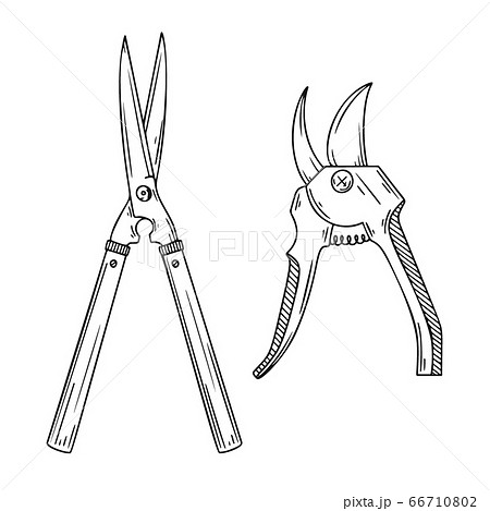 Garden secateurs isolated on a white background. Garden secateurs isolated on a white background. 66710802