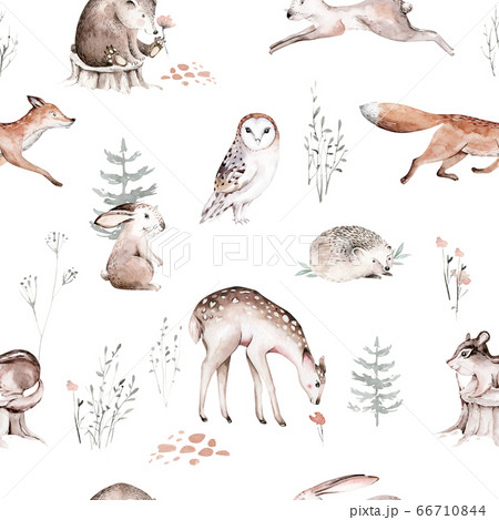 Watercolor Woodland animal Scandinavian seamless pattern. Fabric wallpaper background with Owl, hedgehog, fox and butterfly, rabbit forest squirrel and chipmunk, bear and bird baby animal, Watercolor Woodland animal Scandinavian seamless pattern. Fabric wallpaper background with Owl, hedgehog, fox and butterfly, rabbit forest squirrel and chipmunk, bear and bird baby animal, 66710844