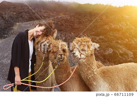 Young woman hugs her llama friends in the mountains Young woman hugs her llama friends in the mountains 66711109