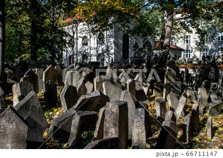 Old Weathered Tombstones On Jewish Cemetery In Prague In The Czech Republic Old Weathered Tombstones On Jewish Cemetery In Prague In The Czech Republic 66711147