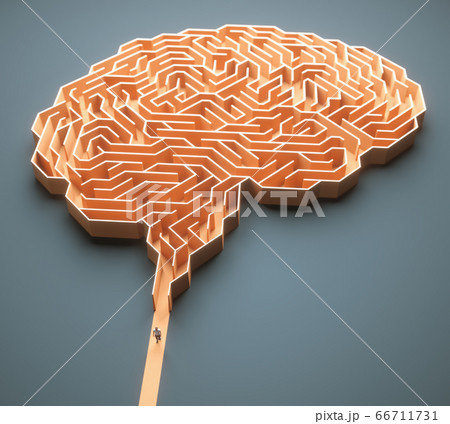 Brain Maze Science And Medical Research Brain Maze Science And Medical Research 66711731