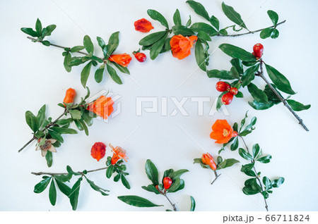flower arrangement in a circle. of red and orange flowers on a white background. Flatly, the concept of summer or spring, text frame flower arrangement in a circle. of red and orange flowers on a white background. Flatly, the concept of summer or spring, text frame 66711824