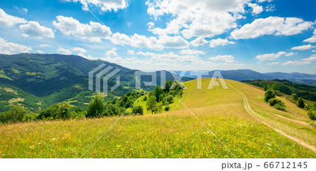 path through the meadow in mountains. sunny summer 66712145
