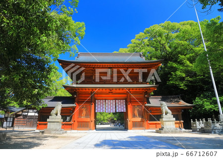【愛媛県】新緑の大山祇神社（総門） 66712607