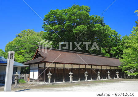 【愛媛県】新緑の大山祇神社（十七神社） 66712610