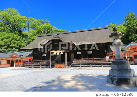 【愛媛県】新緑の大山祇神社（拝殿） 66712630
