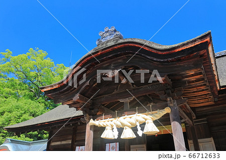 【愛媛県】新緑の大山祇神社（拝殿） 66712633