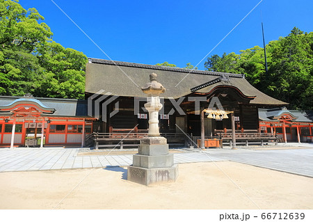 【愛媛県】新緑の大山祇神社（拝殿） 66712639