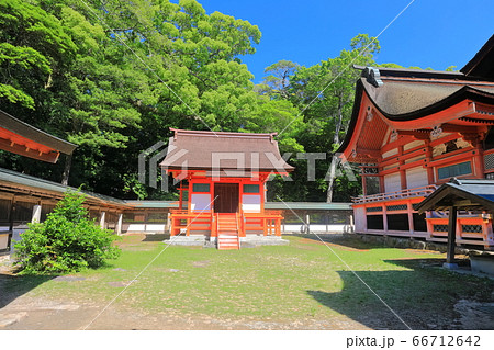 【愛媛県】新緑の大山祇神社(本殿) 【愛媛県】新緑の大山祇神社(本殿) 66712642