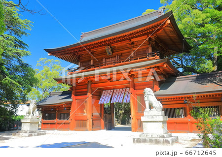 【愛媛県】新緑の大山祇神社（総門） 66712645