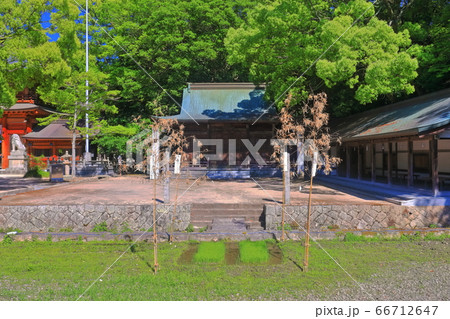 【愛媛県】新緑の大山祇神社（御棧敷殿と斎田） 66712647