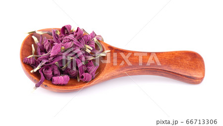 Dried Echinacea flowers on wooden spoon, isolated 66713306