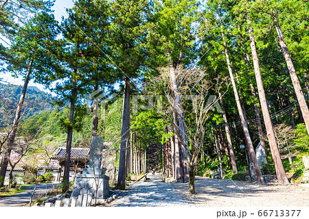 身延山久遠寺境内の参道風景(山梨県南巨摩郡身延町)2020年3月 身延山久遠寺境内の参道風景(山梨県南巨摩郡身延町)2020年3月 66713377