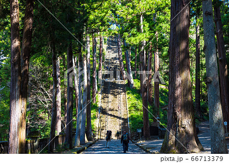 身延山久遠寺 287段の石階段 菩提梯 山梨県南巨摩郡身延町 年3月の写真素材