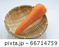 野菜　にんじん 66714759
