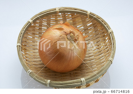 野菜　玉ねぎ 66714816