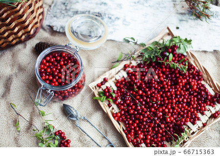autumn berries on table, lingonberry raw closeup autumn berries on table, lingonberry raw closeup 66715363