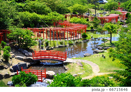 奥津軽 高山稲荷神社 千本鳥居 初夏 奥津軽 高山稲荷神社 千本鳥居 初夏 66715646