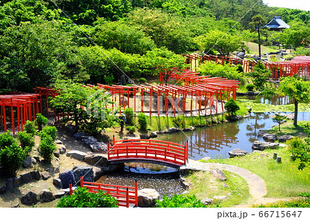 奥津軽　高山稲荷神社　千本鳥居　初夏 66715647