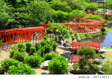 奥津軽　高山稲荷神社　千本鳥居　初夏 66715651