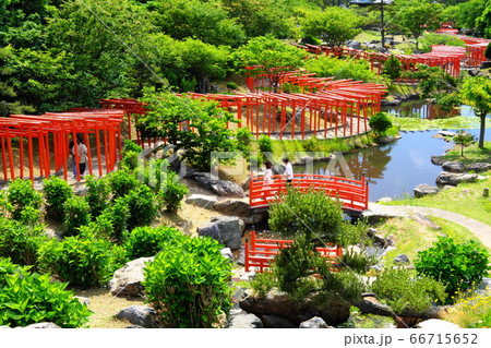 奥津軽　高山稲荷神社　千本鳥居　初夏 66715652