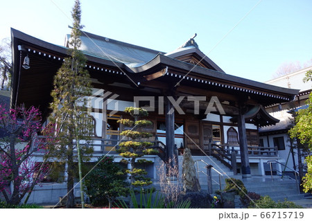 金剛寺 金剛寺 66715719