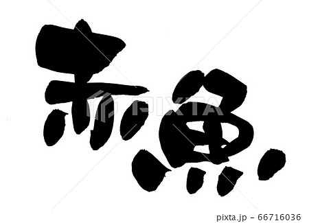 筆文字素材の手書きの【赤魚】 墨で書いたアカウオのイラスト文字 筆文字素材の手書きの【赤魚】 墨で書いたアカウオのイラスト文字 66716036