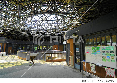 6月　江戸川55鳥類園ｳｵｯﾁﾝｸﾞｾﾝﾀｰ･葛西臨海公園 66716045