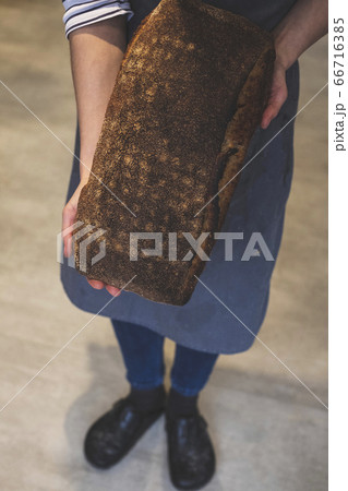 Artisan bakery making special sourdough bread, a large baked load with dark crust. 66716385