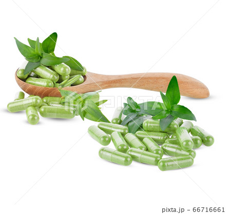 Andrographis paniculata capsule on white Andrographis paniculata capsule on white 66716661
