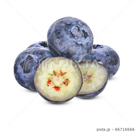 Fresh juisy blueberries isolated on white Fresh juisy blueberries isolated on white 66716666