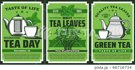 Green tea leaves, hot drink cup and pot 66716734