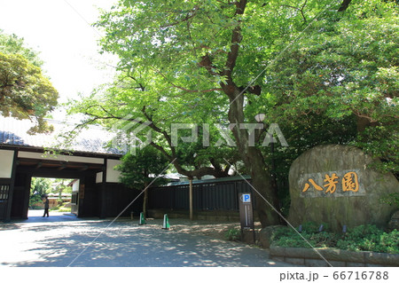 八芳園　白金台駅 66716788