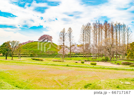 春空の下のポッコリ古墳 66717167