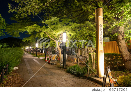名古屋城下東門エリア　金シャチ横丁　宗春ゾーン　夜景 66717205