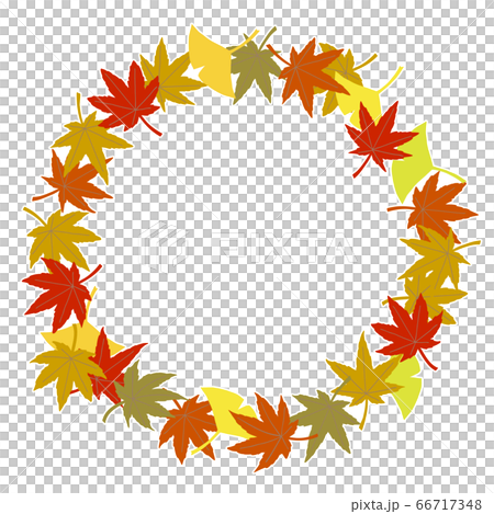 Simple autumn leaves and ginkgo circle frame vector illustration Simple autumn leaves and ginkgo circle frame vector illustration 66717348