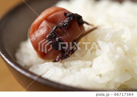 梅干しごはん 66717364