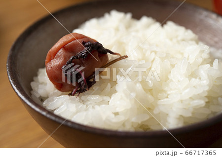 梅干しと炊きたてごはん 66717365